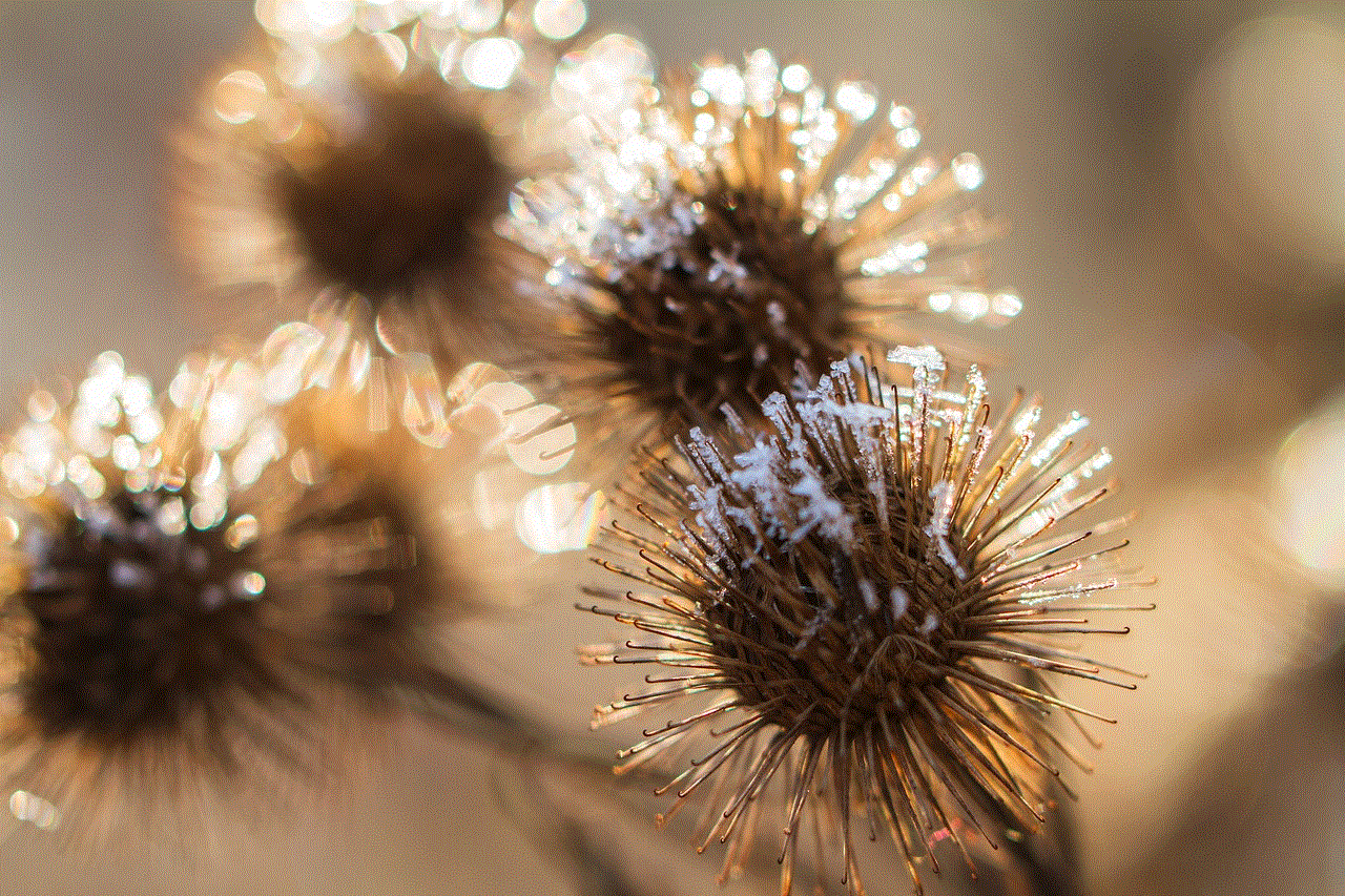 Burdock Plants