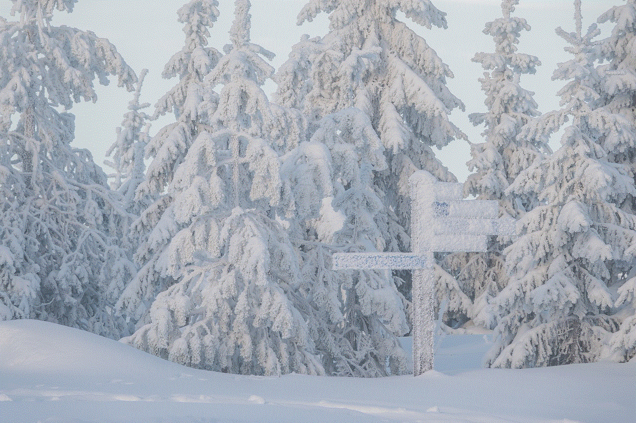 Snow Trees