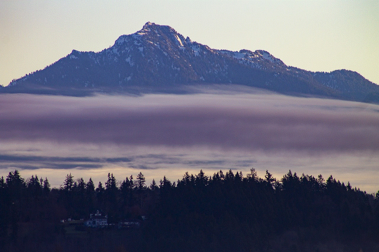 Mountain Trees