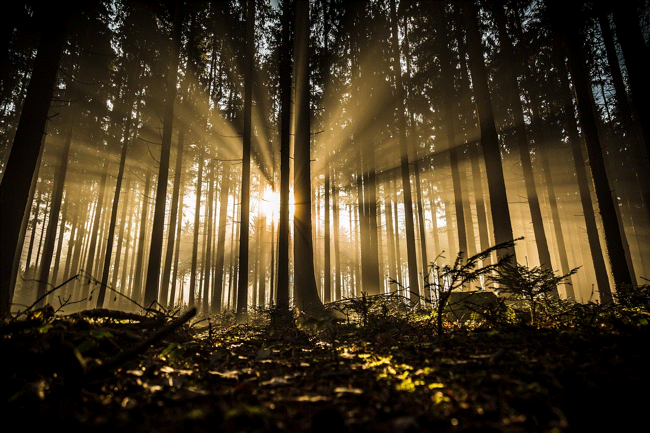 Forest Trees