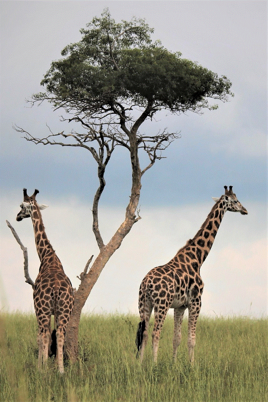 Tree Giraffes