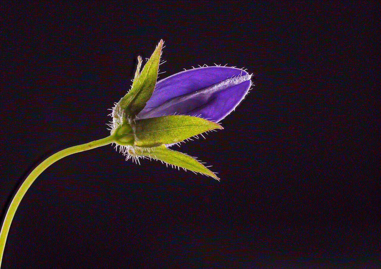 Bellflower Flower
