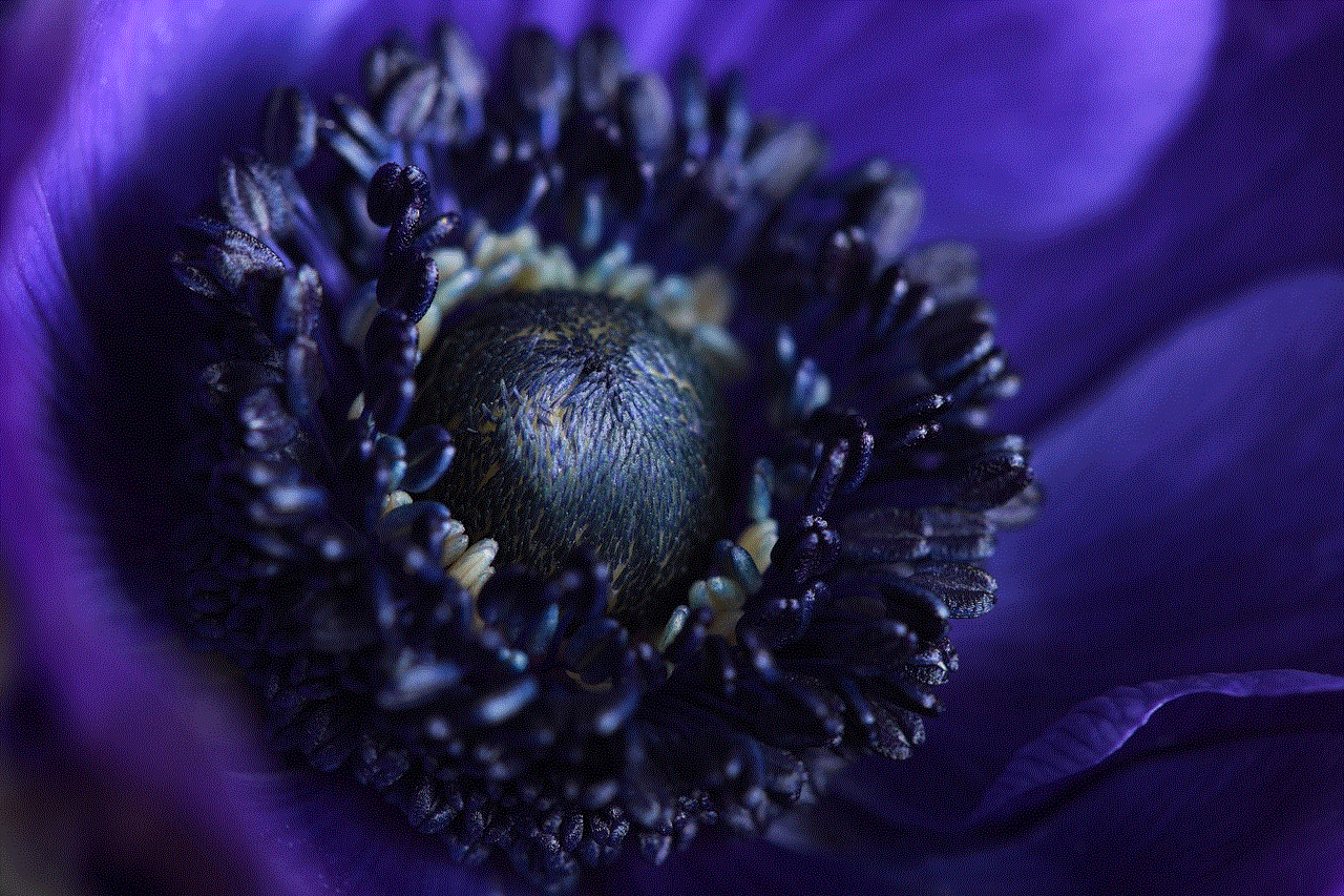 Blue Beautiful Flowers