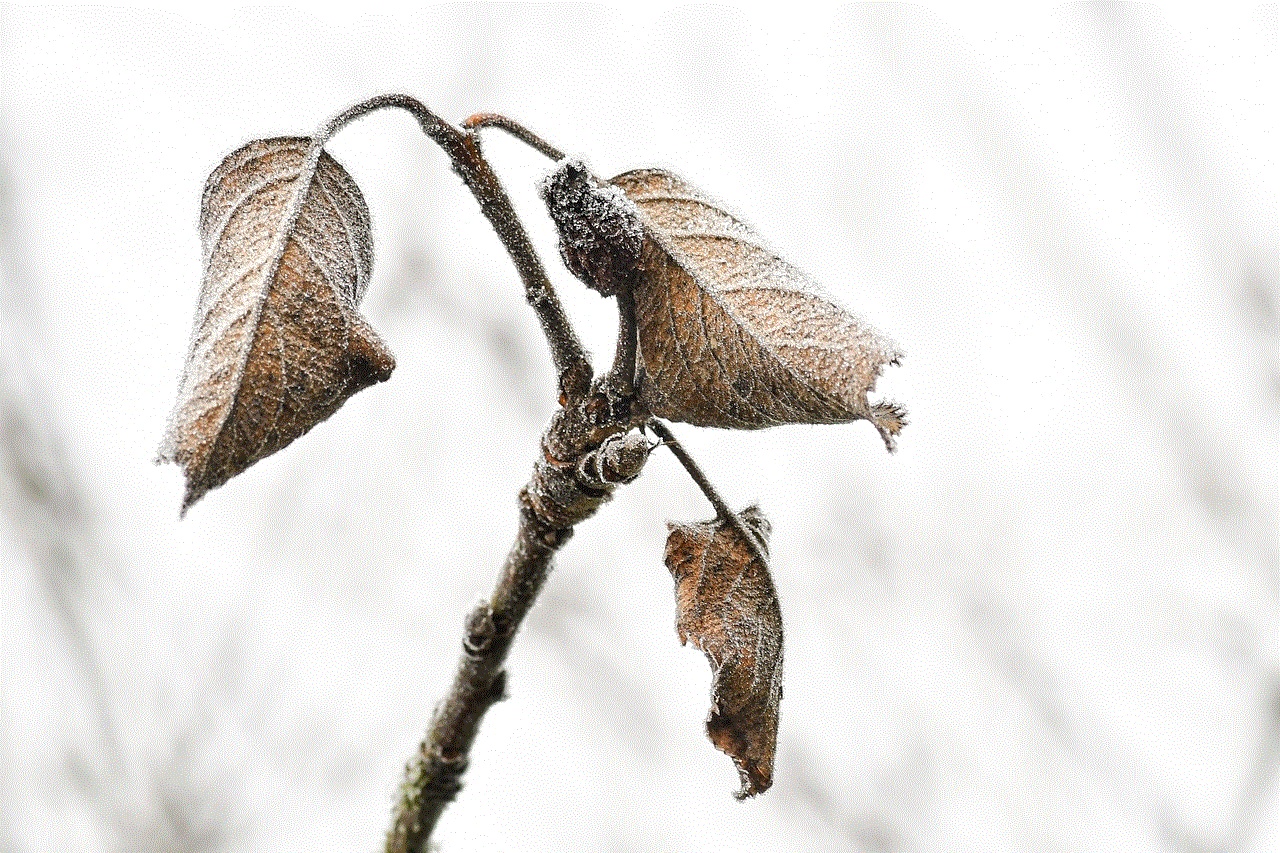 Leaves Foliage