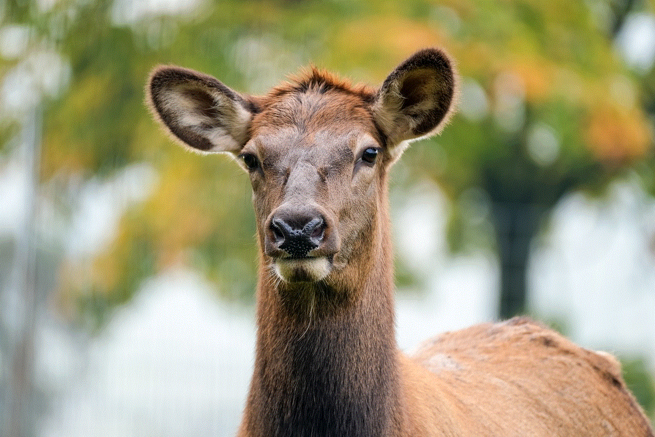 Wapiti Nature