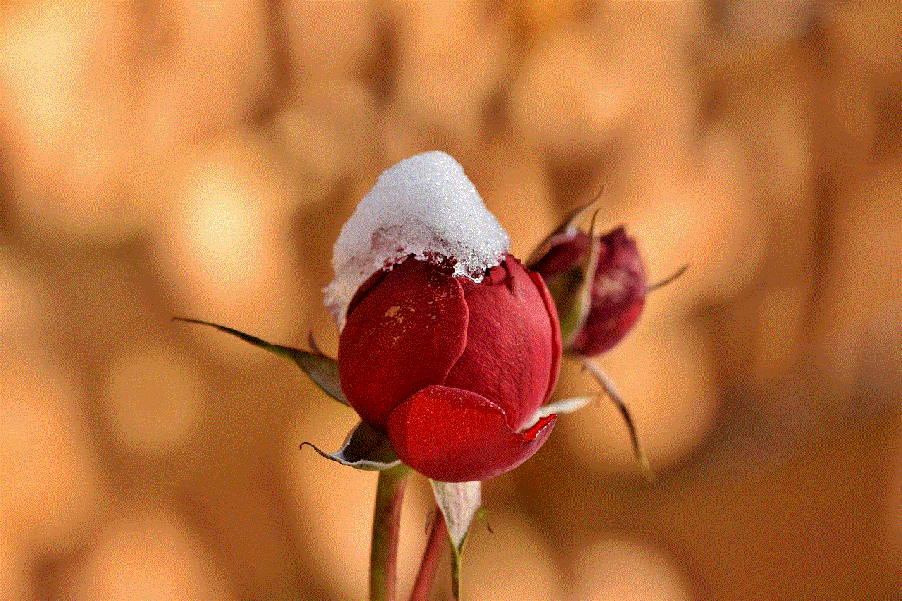 Rosebud Flower