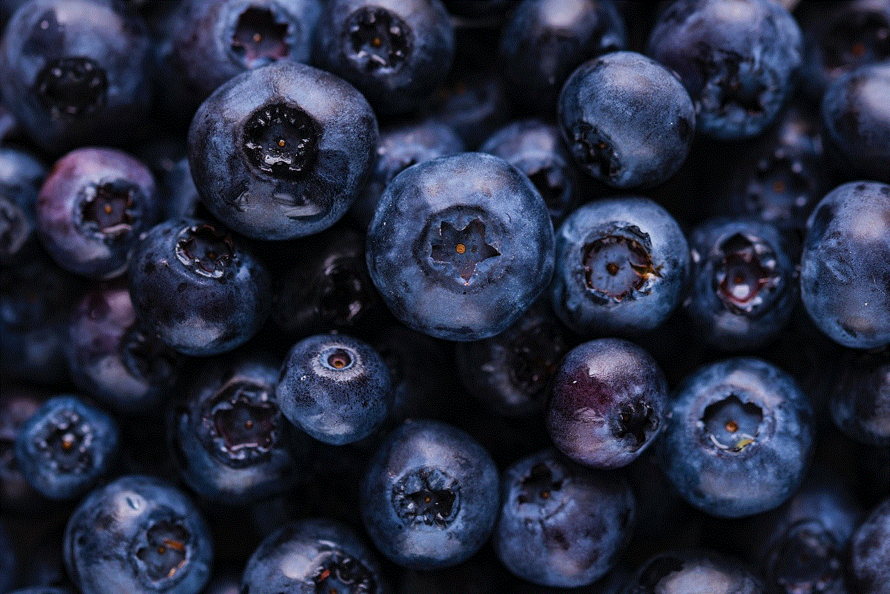 Blueberries Fruits