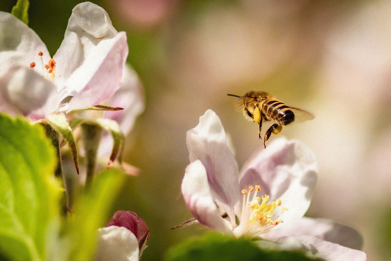 Bee Apple Blossom
