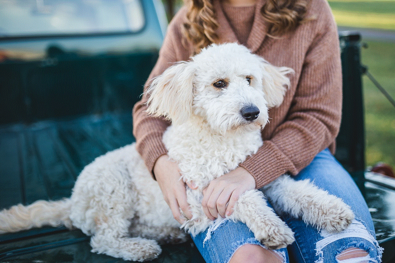 Dog Woman Dog Woman