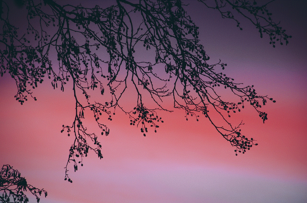 Sunset Tree