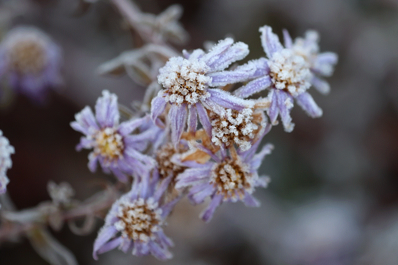 Flowers Hoarfrost