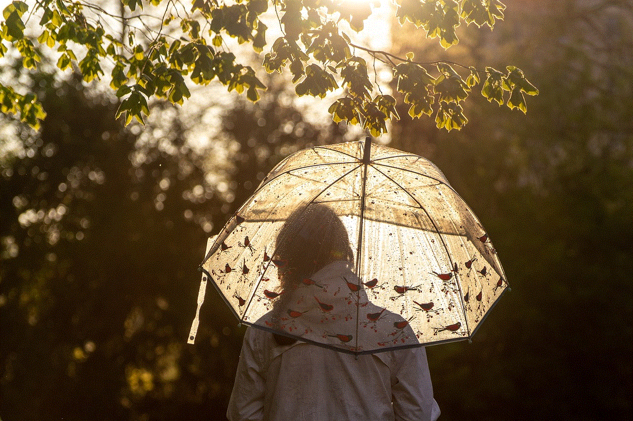 Umbrella Sunlight