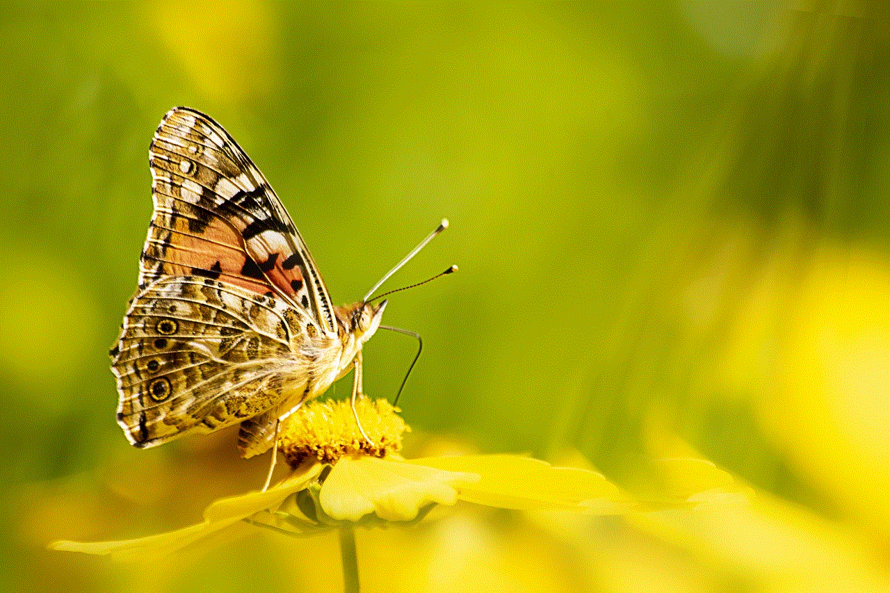 Butterfly Yellow Flower