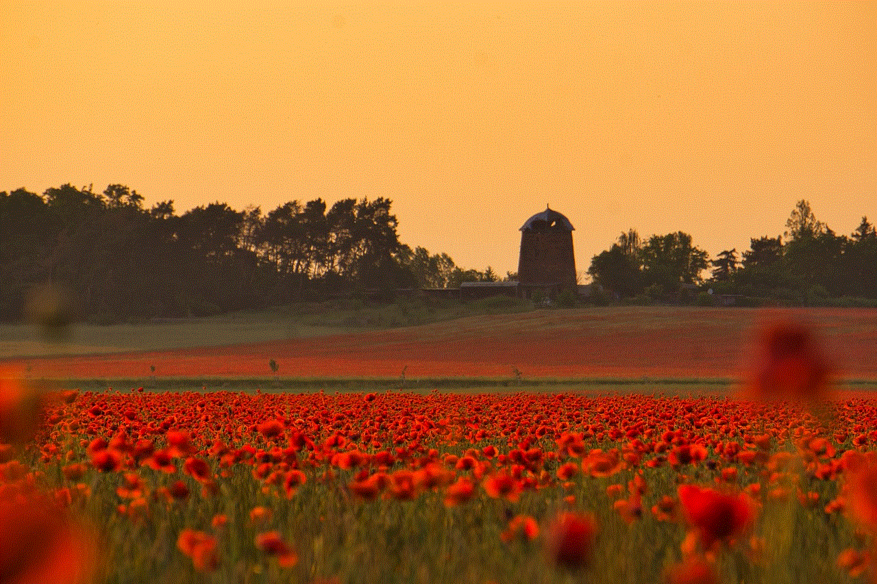 Poppy Fields Sunset