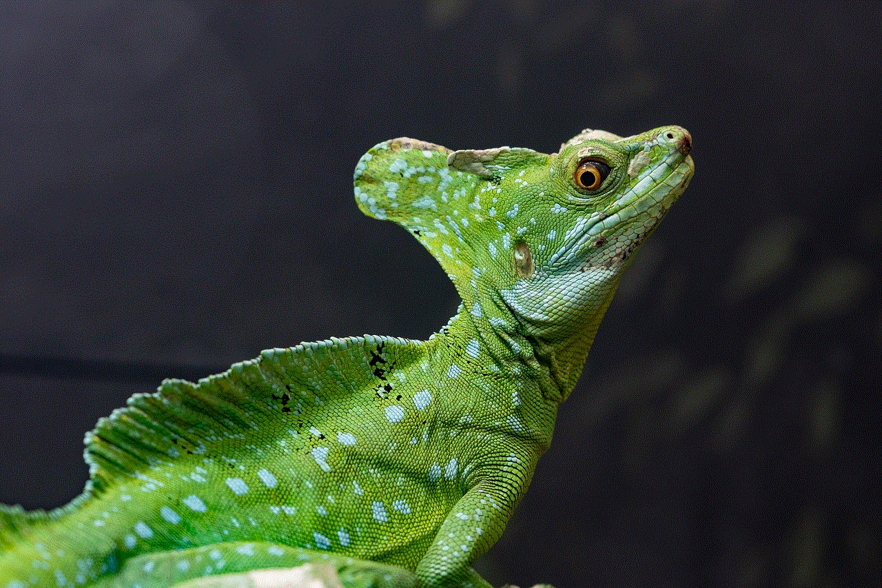 Basilisk Lizard