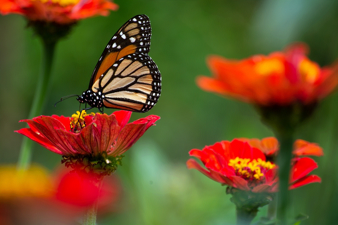 Butterfly Flowers