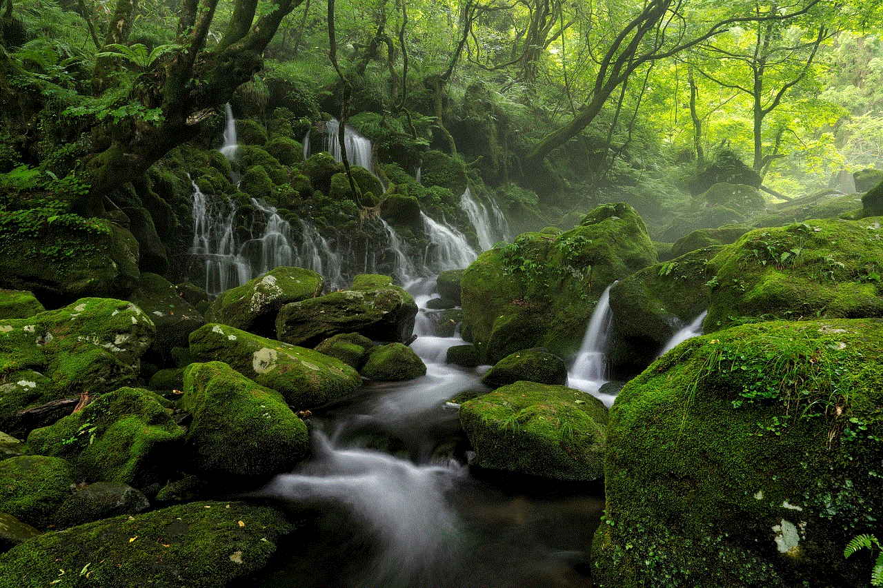 River Stream