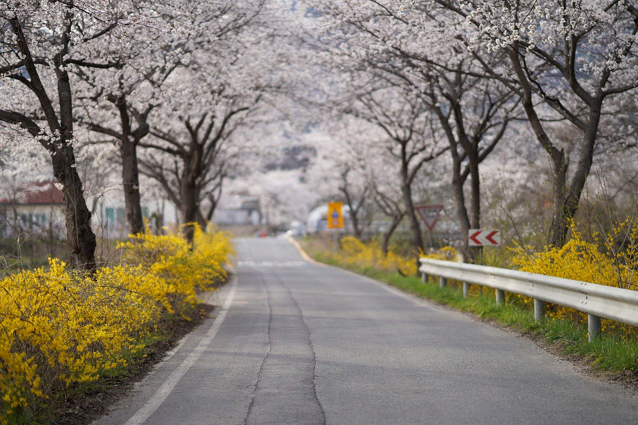 Road Trees