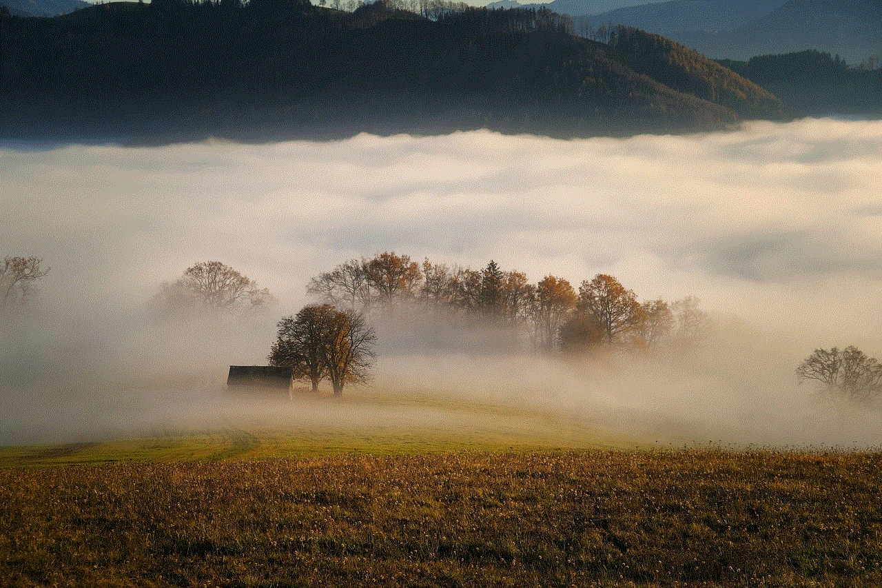 Trees Fog