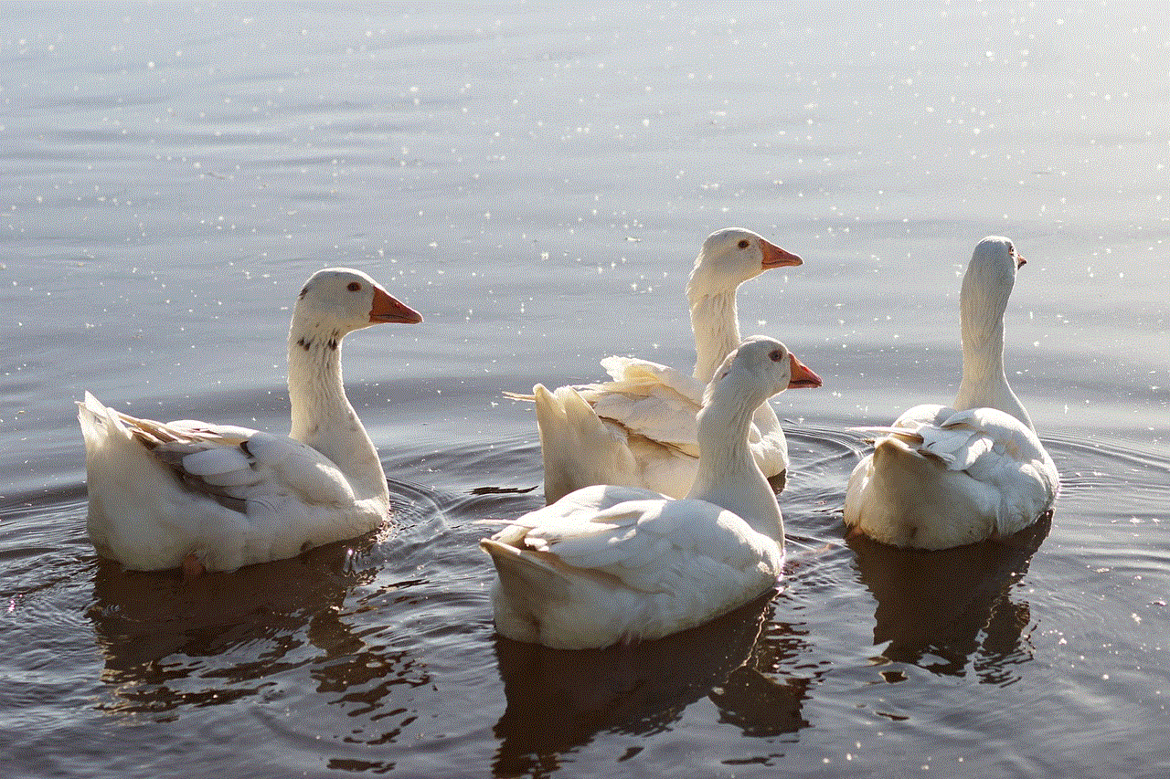 Geese Birds