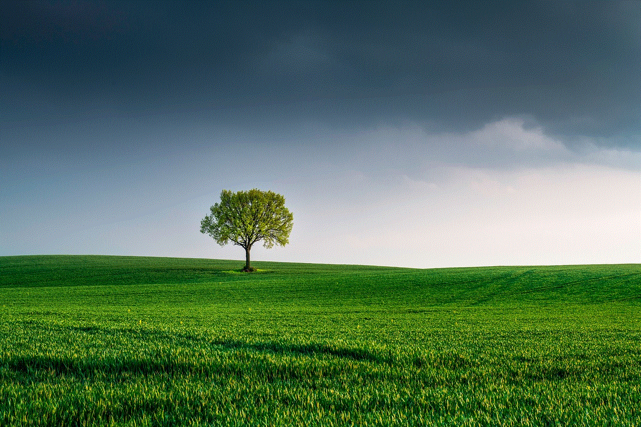 Tree Field