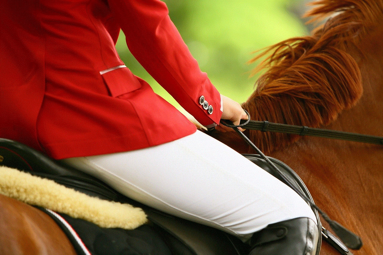 Horse Rider