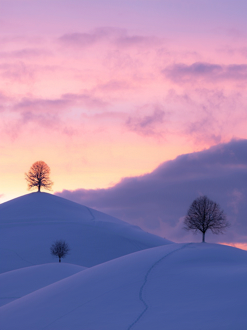 Hills Winter