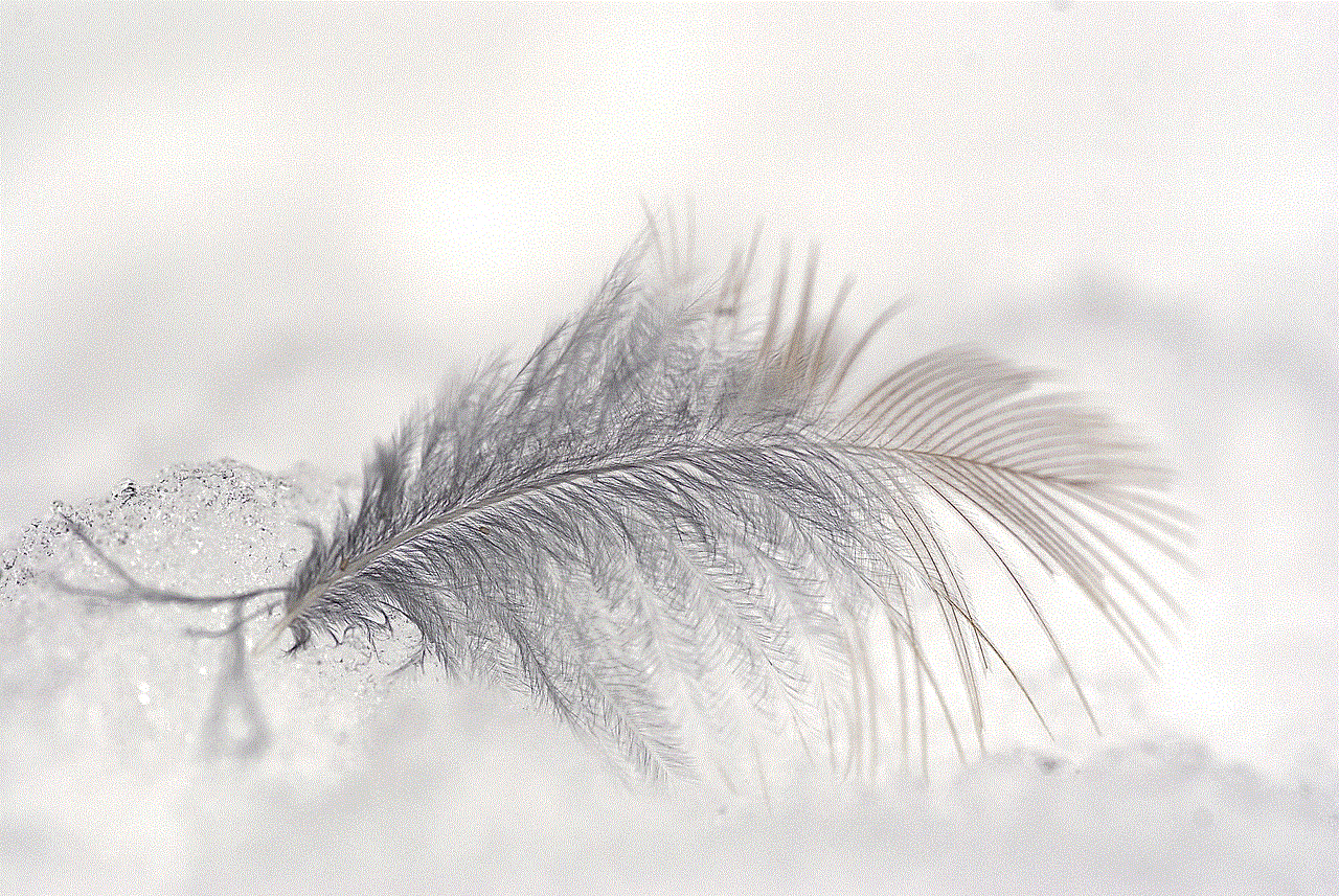 Feather Ice