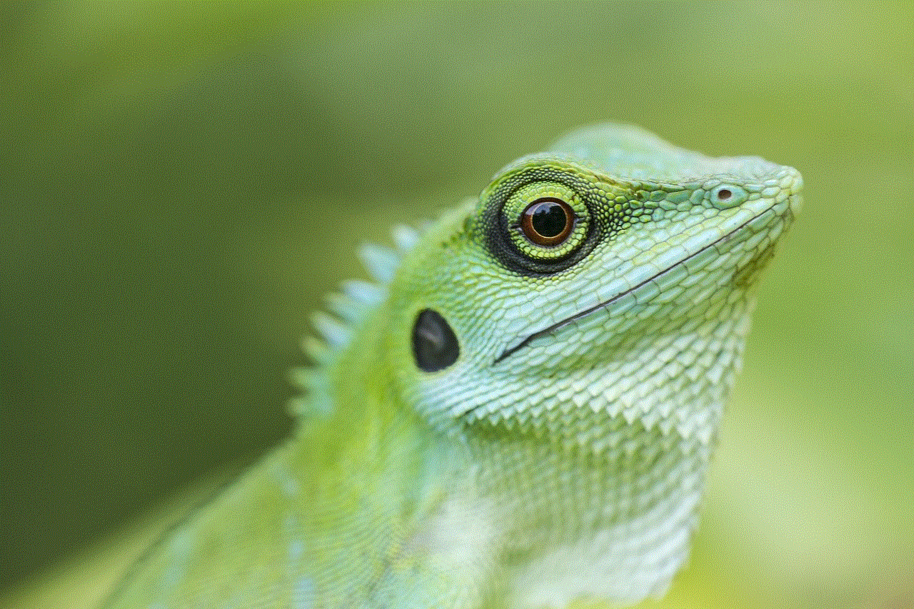 Green Crested Lizard Reptile