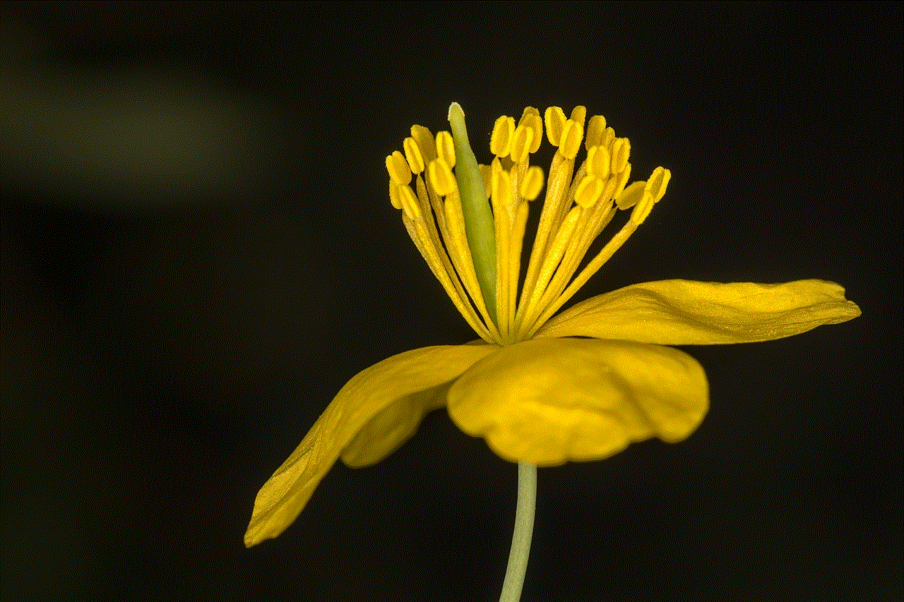 Greater Celandine Flower