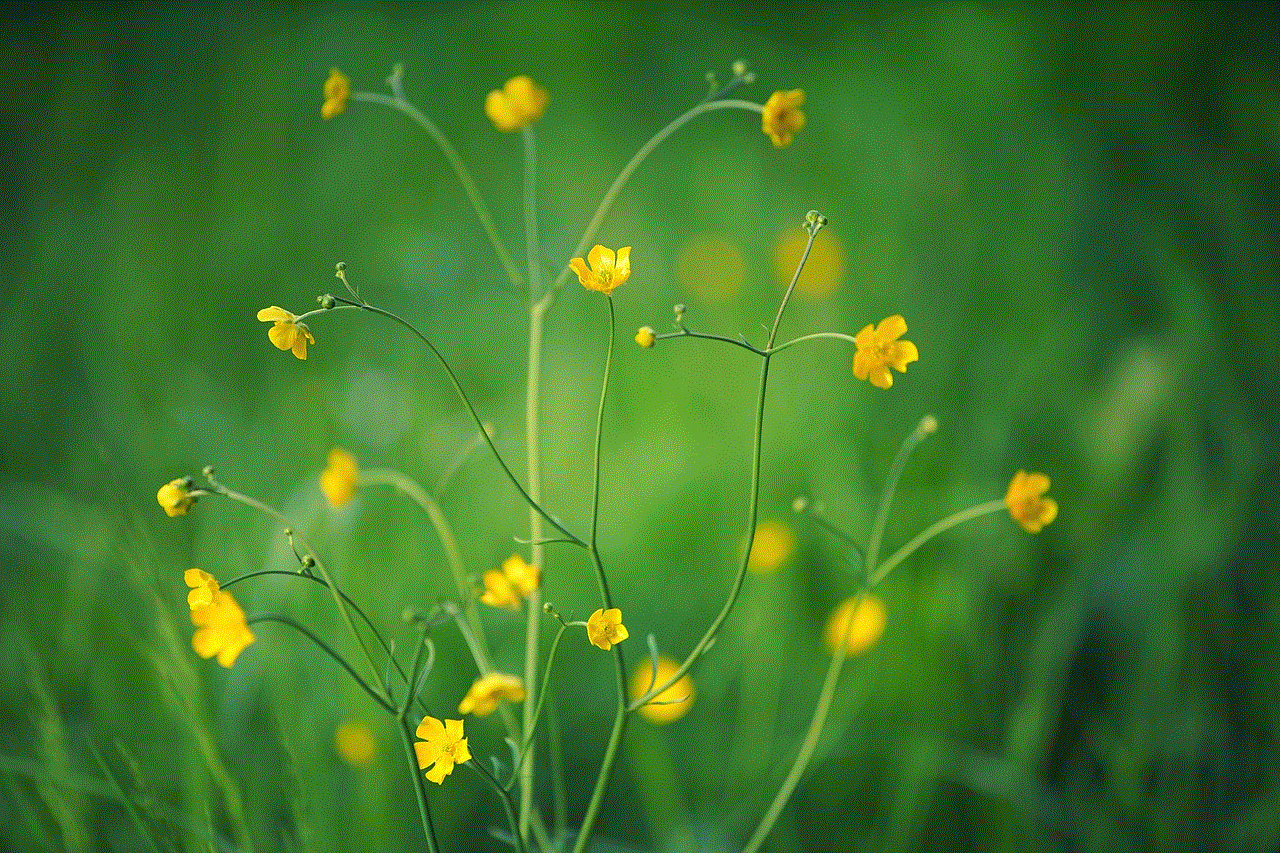 Yellow Flowers Small Flowers