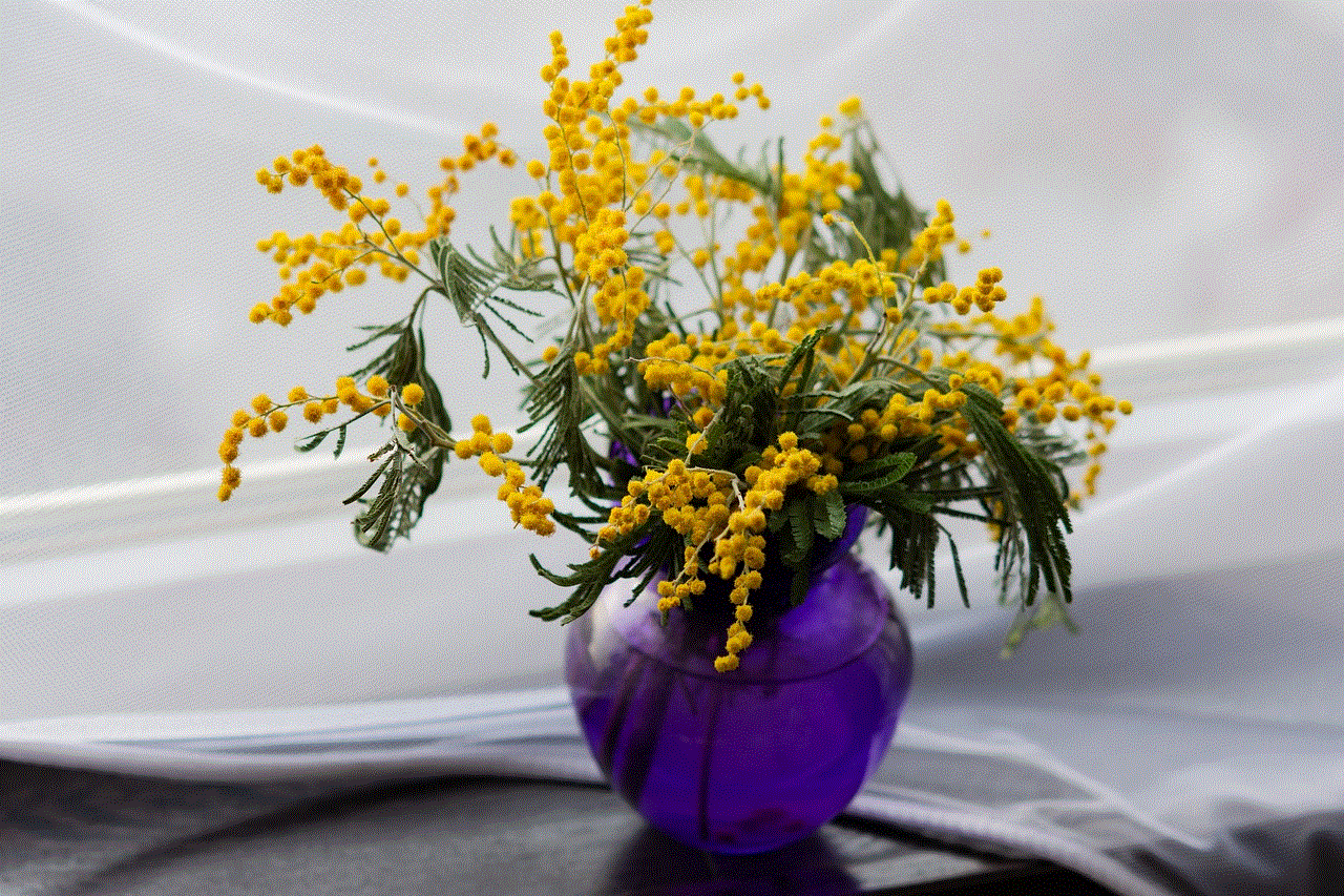 Mimosa Yellow Flowers