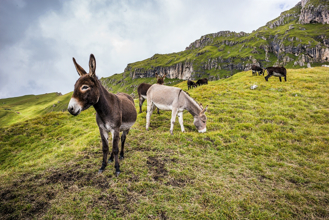 Donkeys Mules