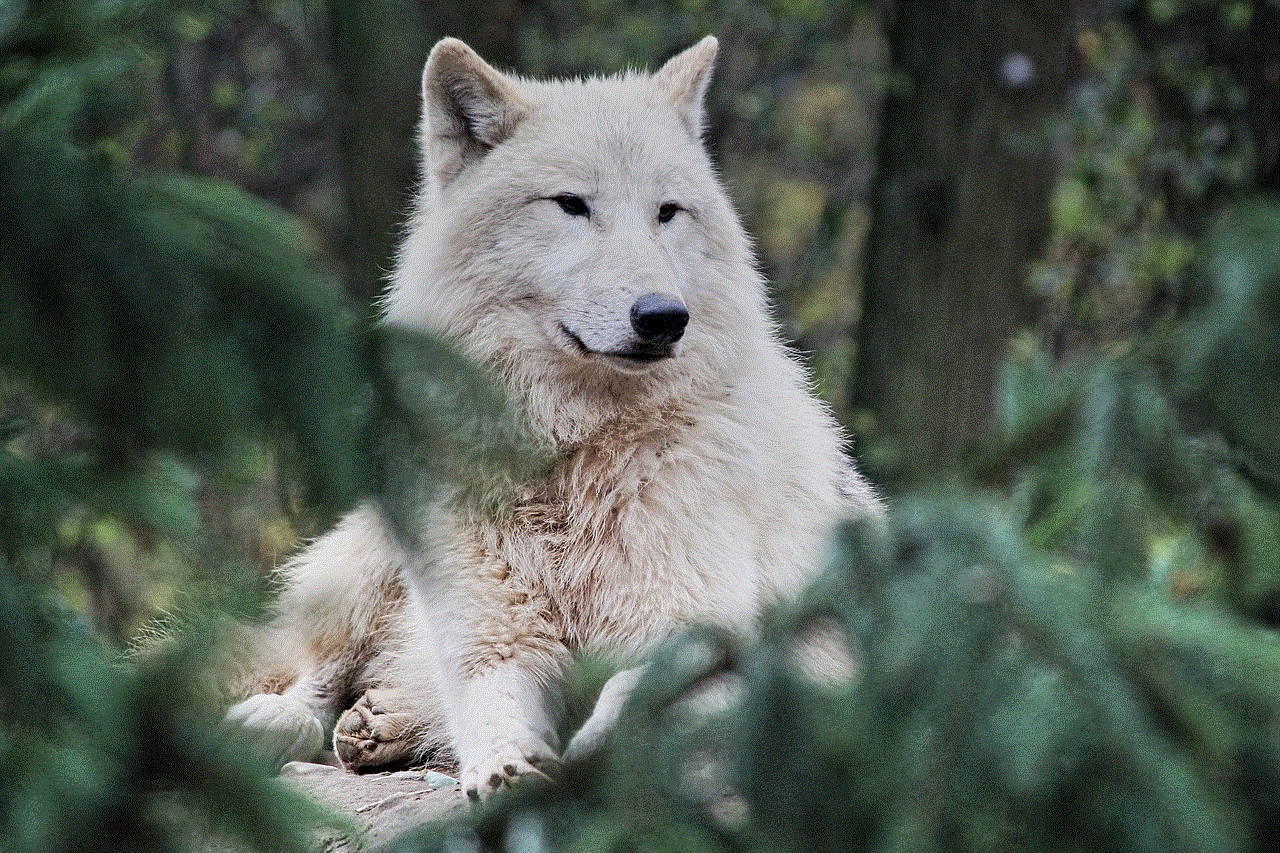 Arctic Wolf Animal