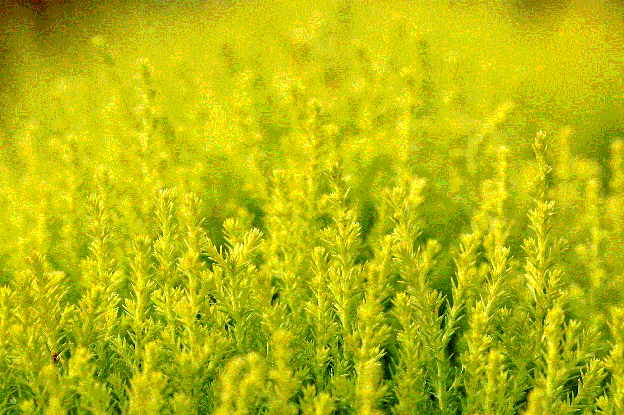 Plants Wildflowers