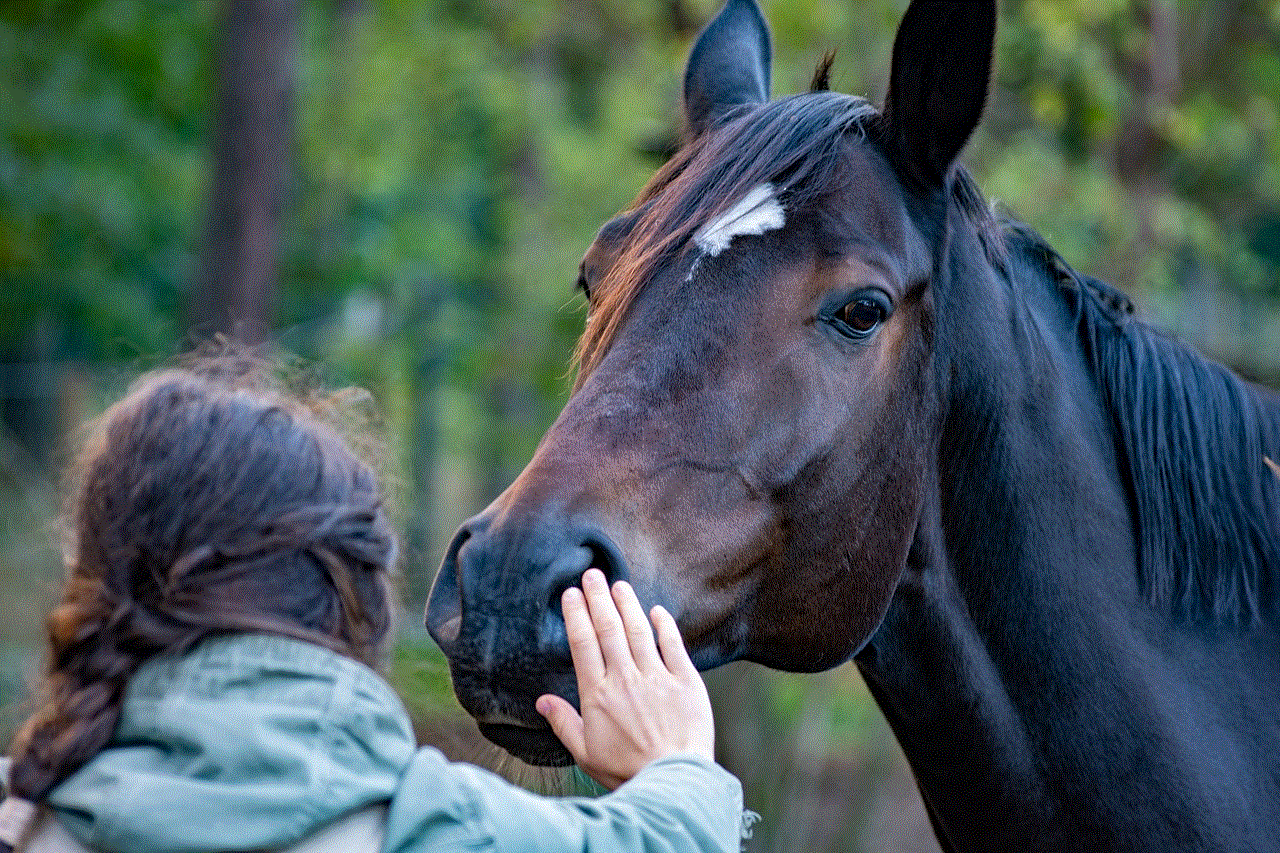 Horse Hand