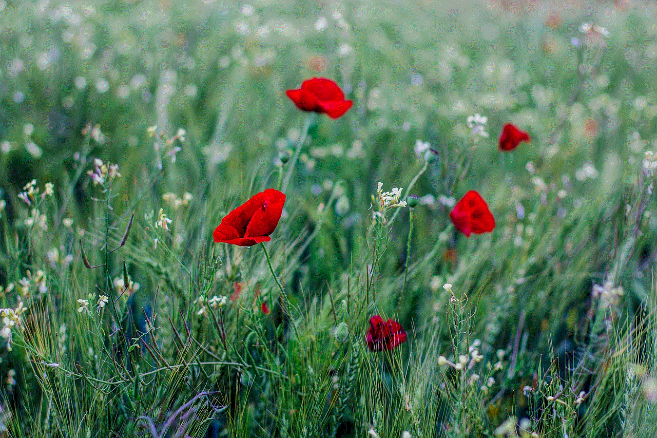 Poppy Grass