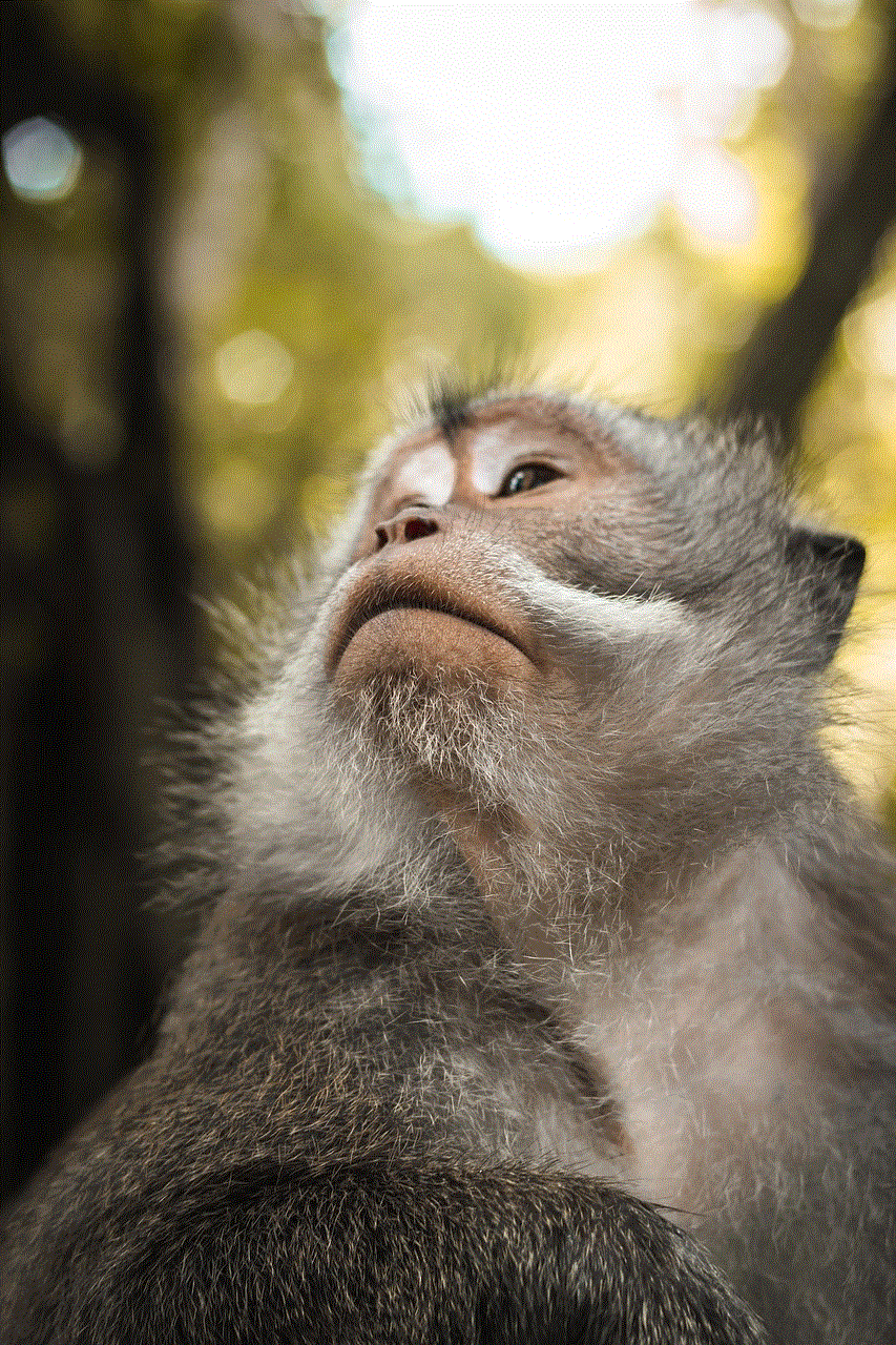Ape Portrait