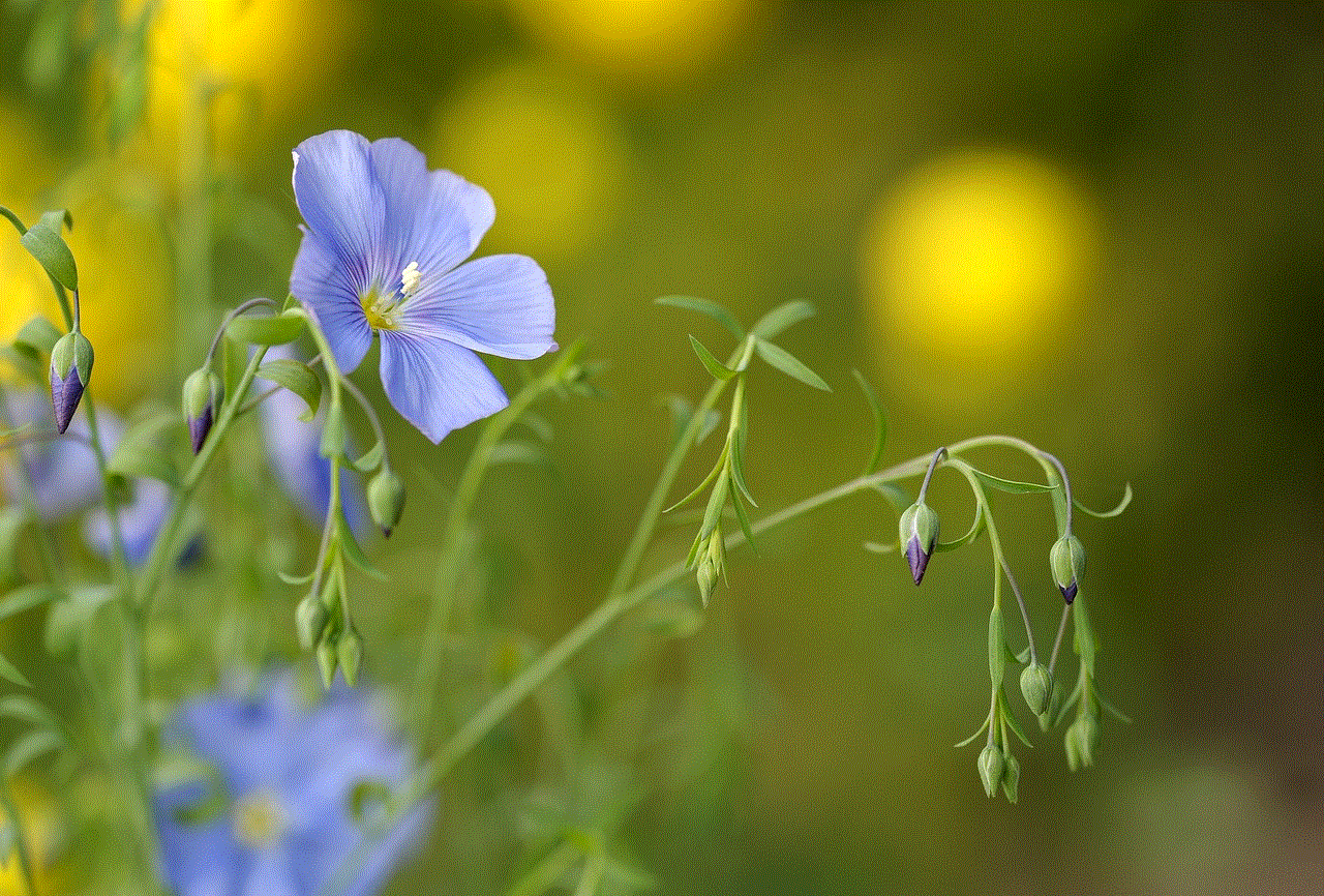 Blue Flax Flowers