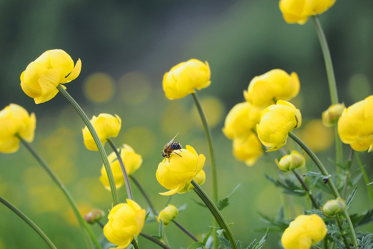 Bee Yellow Flowers