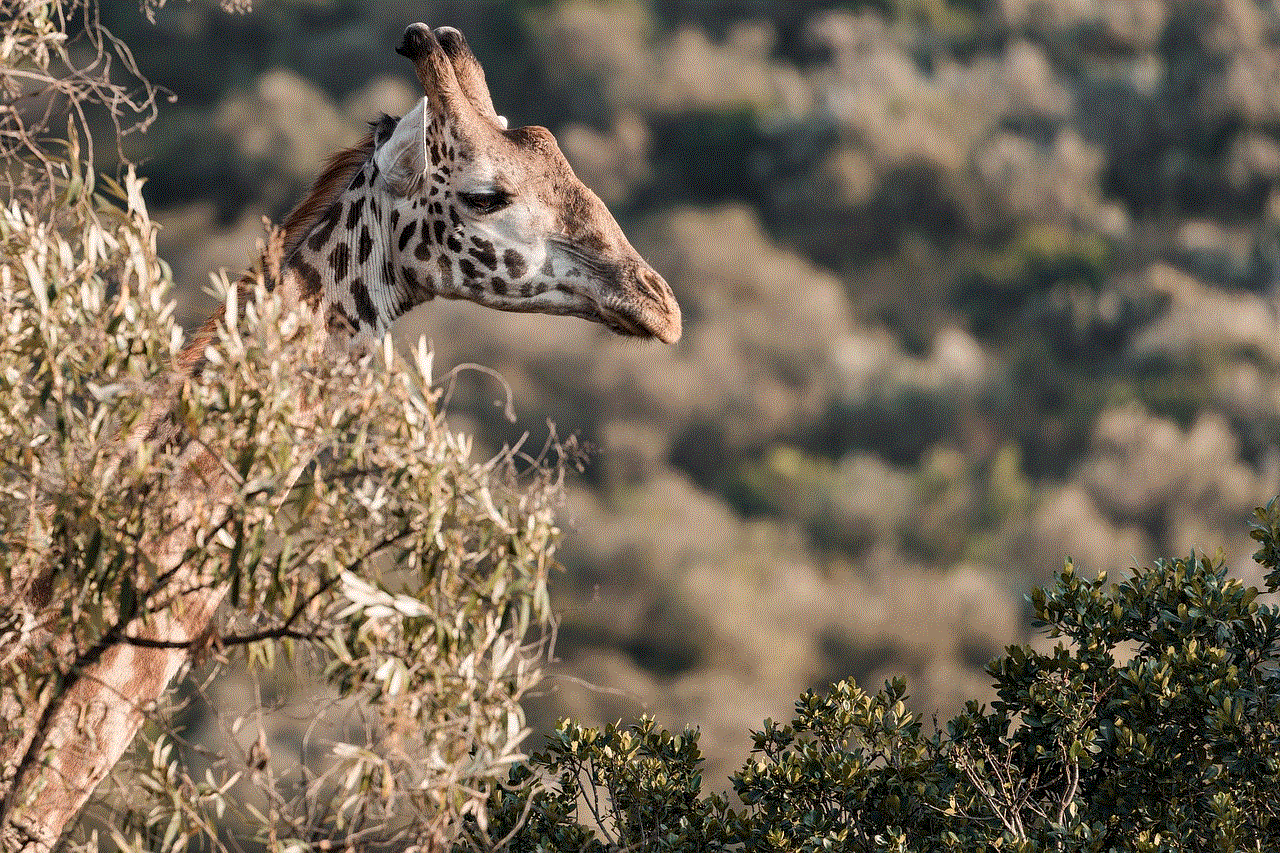 Giraffe Long Neck