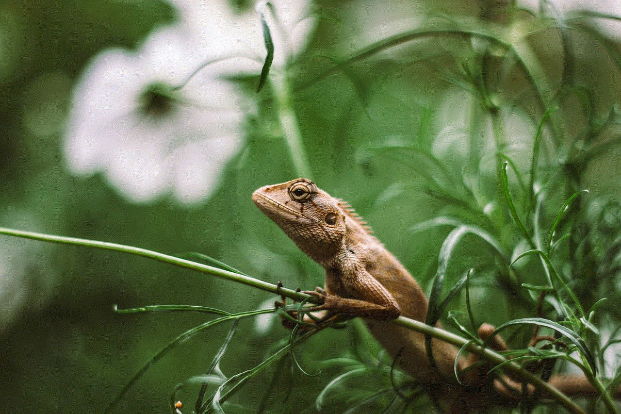 Iguana Lizard