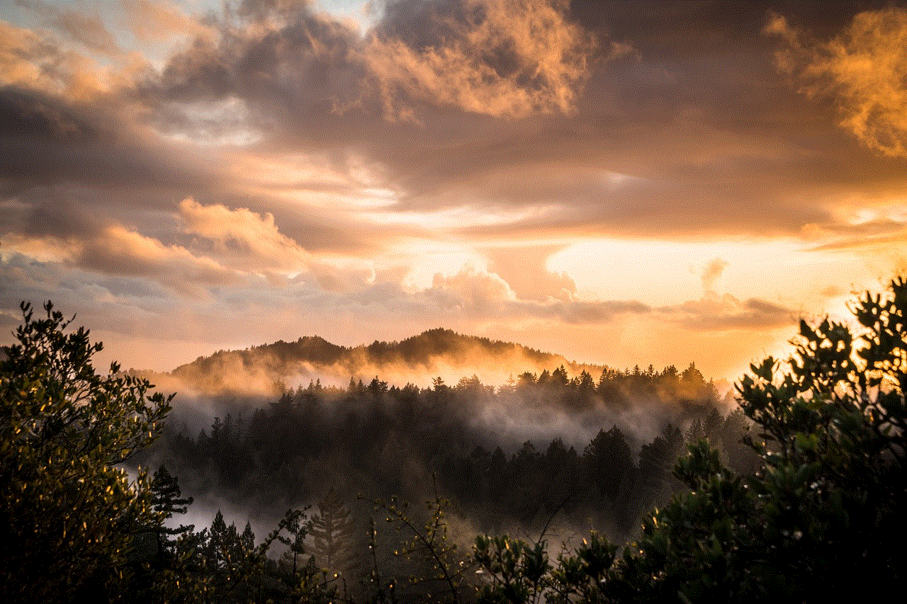 Mountains Forest