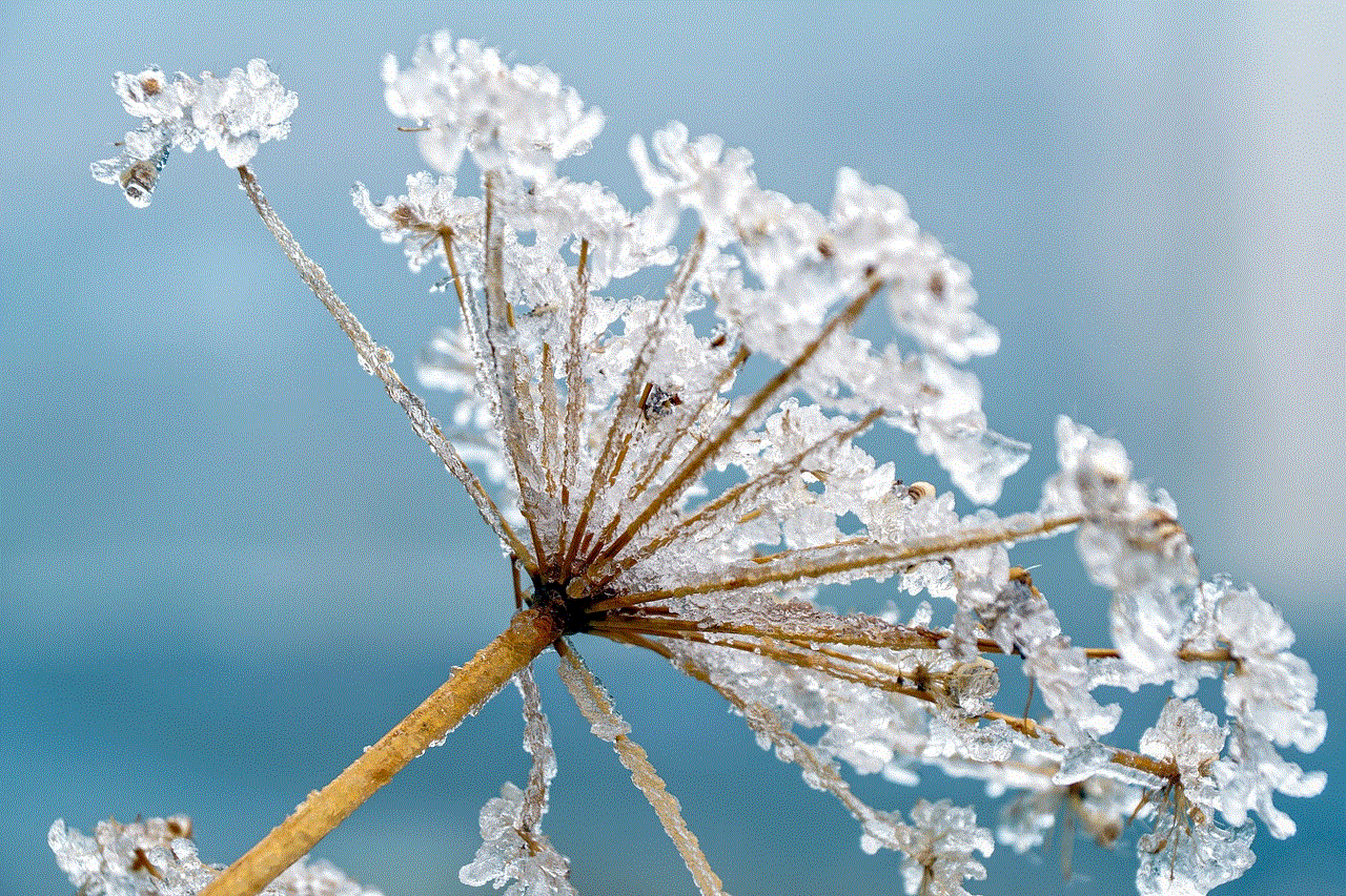 Hemlock Plant