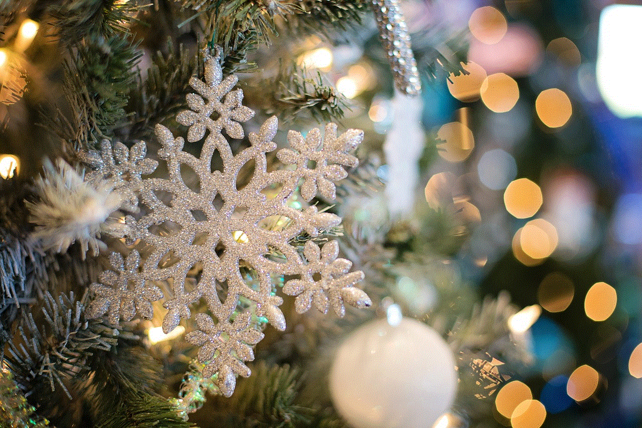 Snowflake Ornaments