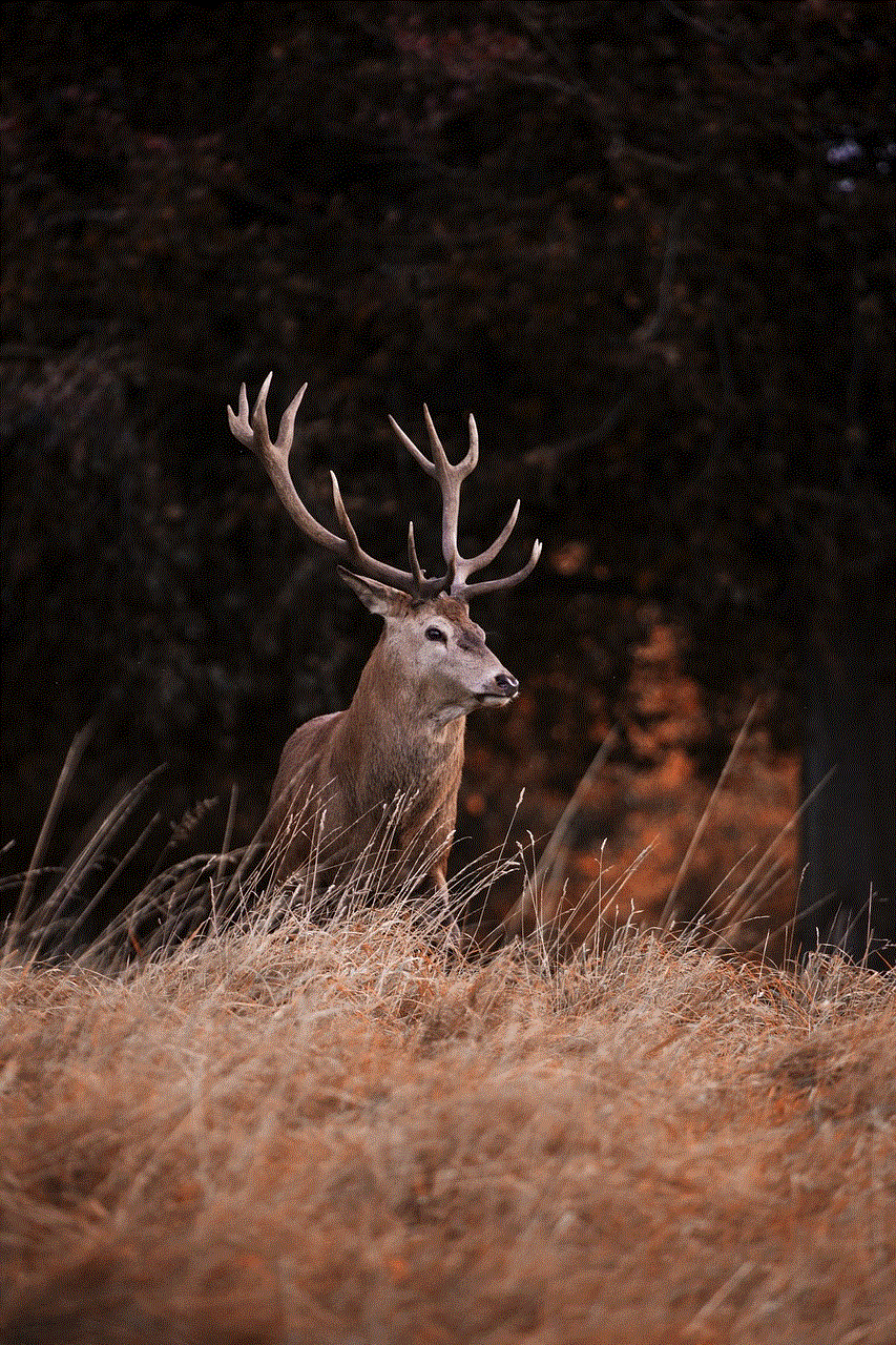 Red Deer Deer