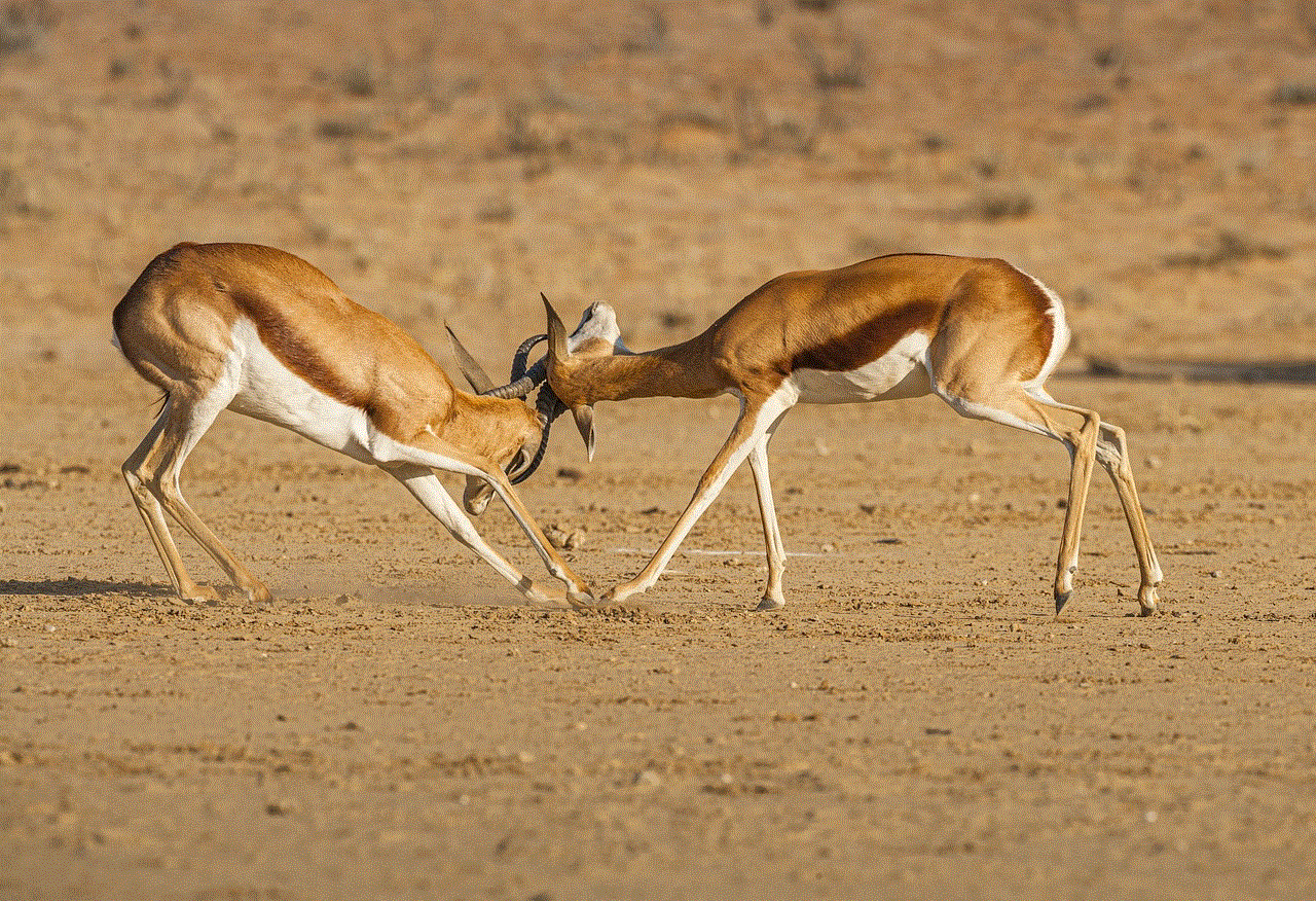 Springbok Animals