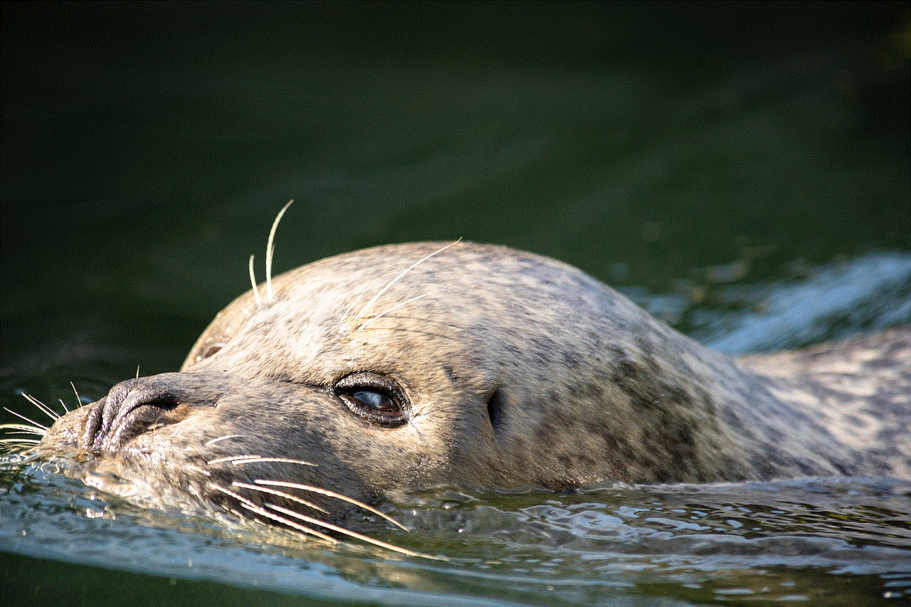 Sealion Mammal