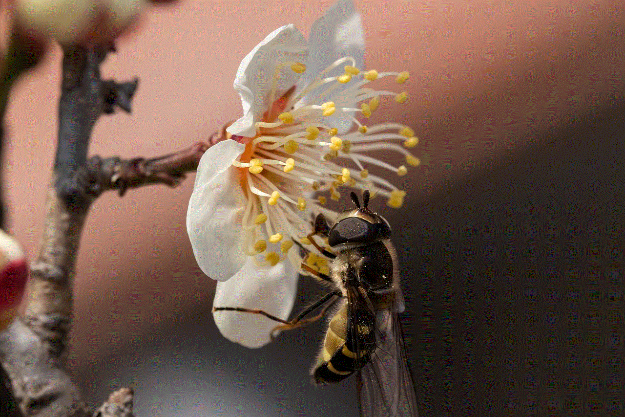 Bee Flower