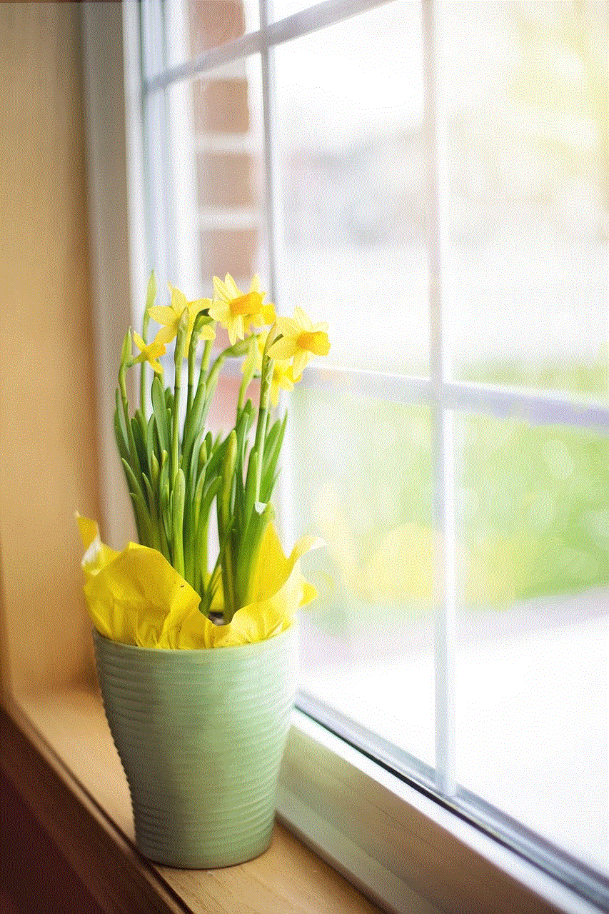 Daffodils Spring